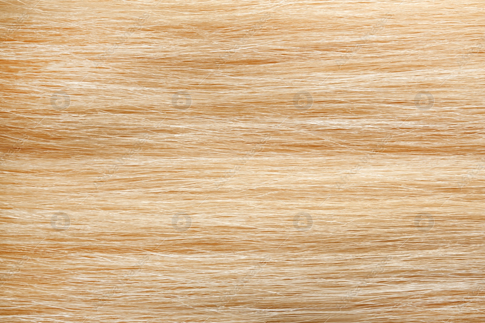 Photo of Texture of healthy blond hair as background, closeup