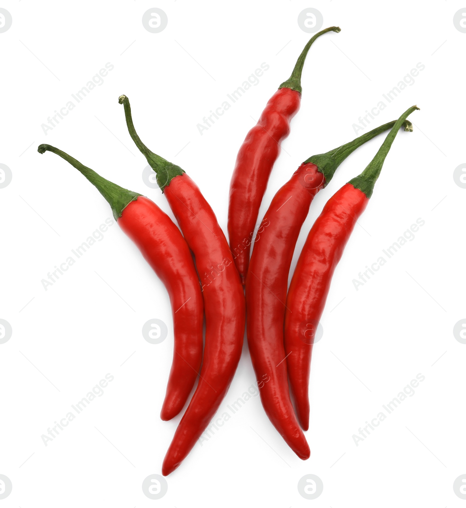 Photo of Red hot chili peppers isolated on white, top view