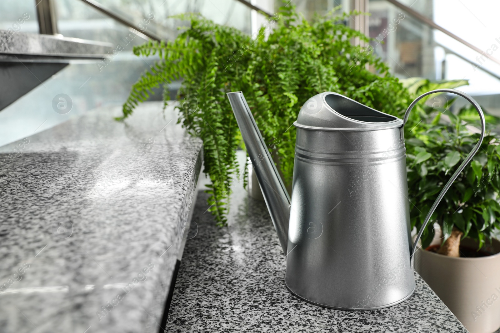 Photo of Watering can and home plants on stairs indoors