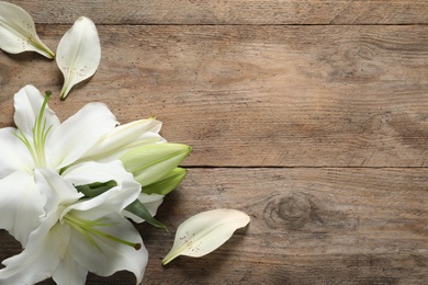 Beautiful lily flowers on wooden background, top view. Space for text