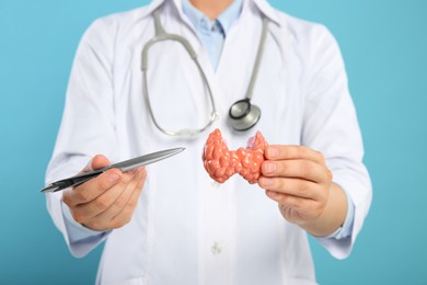 Photo of Endocrinologist showing thyroid gland model on light blue background, closeup