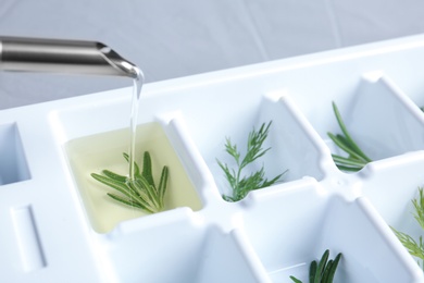 Photo of Pouring oil into ice cube tray with herbs, closeup