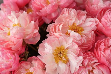 Beautiful pink peonies as background, closeup view