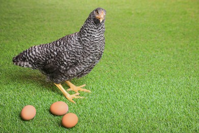 Photo of Beautiful chicken with eggs on green grass