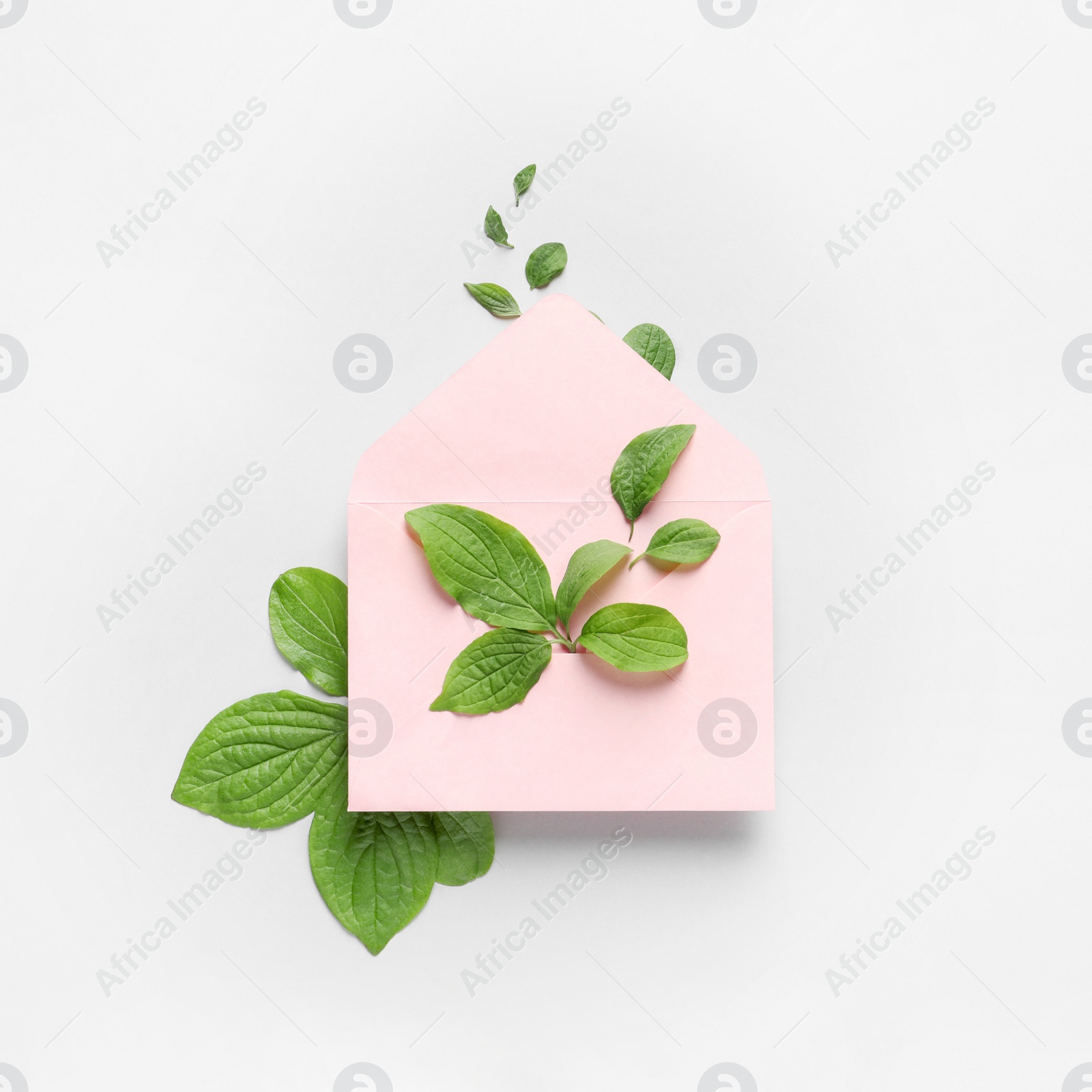 Photo of Composition with green leaves and envelope on light background, top view