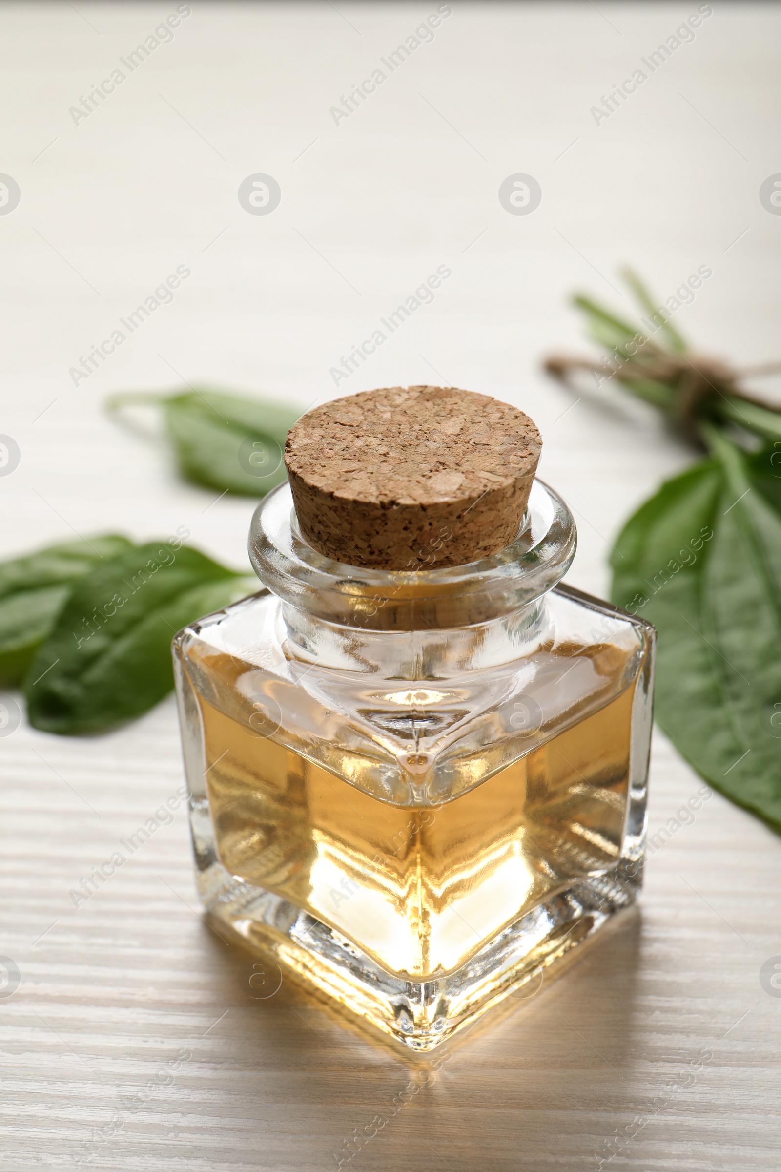 Photo of Essential oil of broadleaf plantain on light wooden table