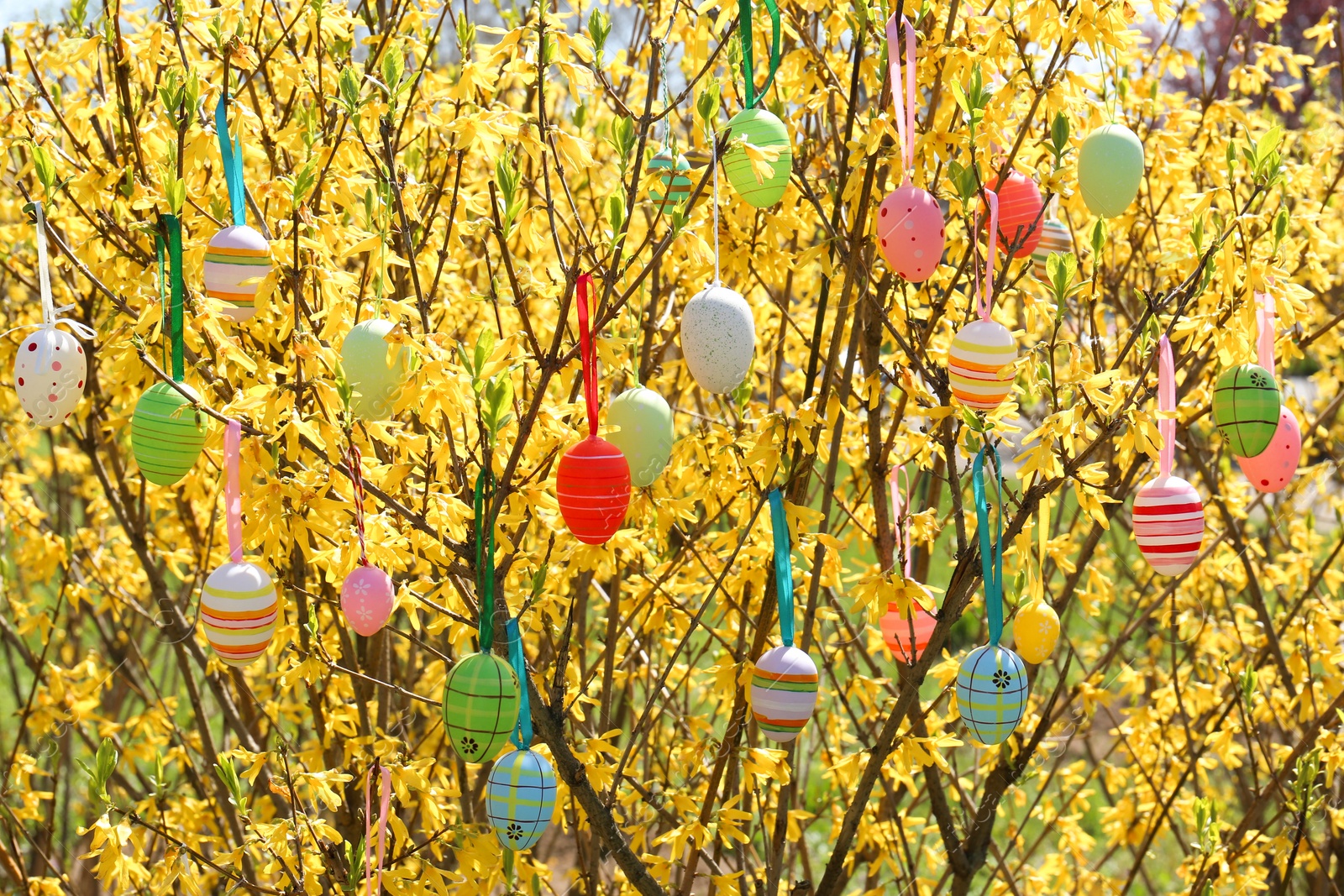 Photo of Beautifully painted Easter eggs hanging on tree outdoors