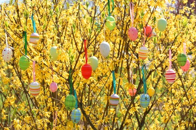 Beautifully painted Easter eggs hanging on tree outdoors