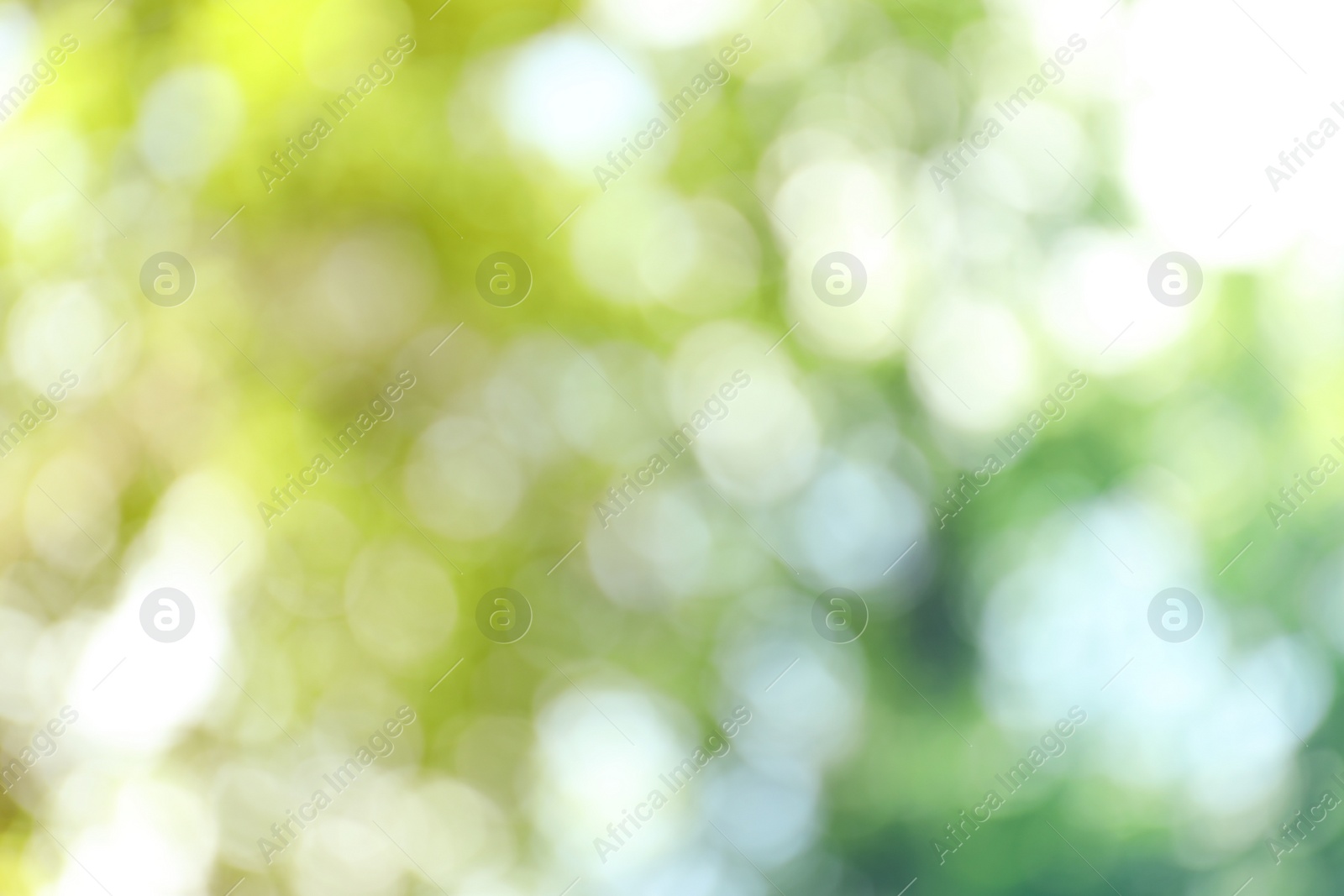 Photo of Blurred view of abstract green background. Bokeh effect