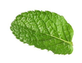 Photo of Fresh green mint leaf isolated on white