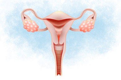 Illustration of Illustration of female reproductive system on light background