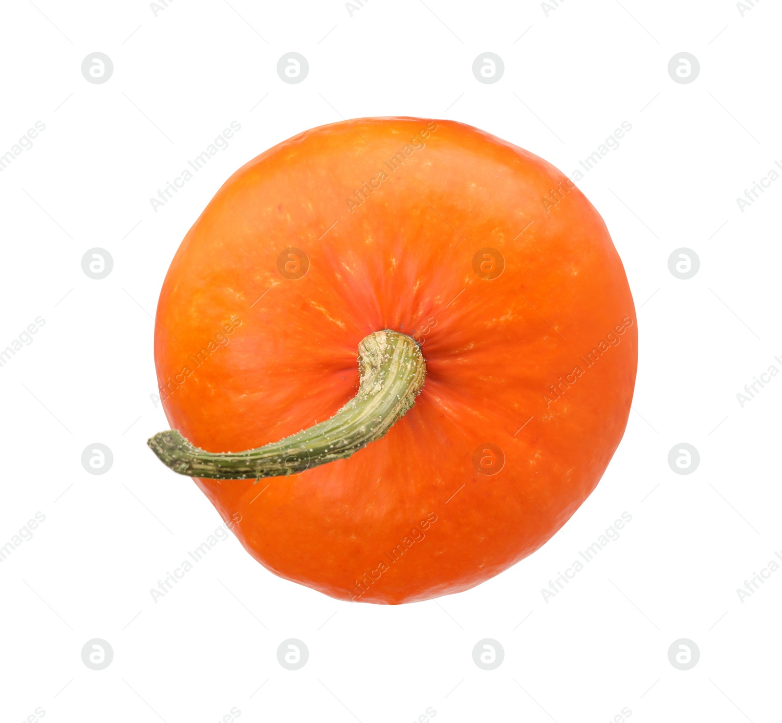 Photo of One fresh orange pumpkin isolated on white, top view