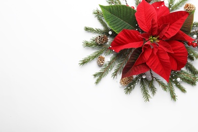 Flat lay composition with beautiful poinsettia on white background, space for text. Christmas traditional flower