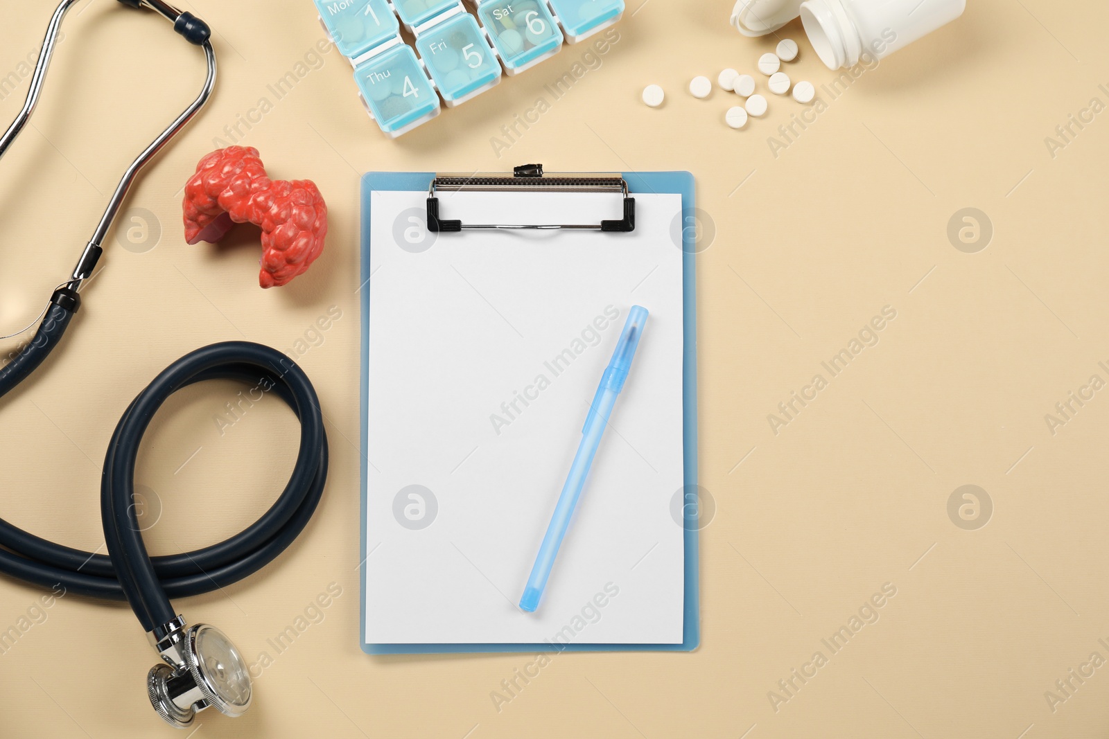 Photo of Endocrinology. Flat lay composition with clipboard and model of thyroid gland on beige background, space for text