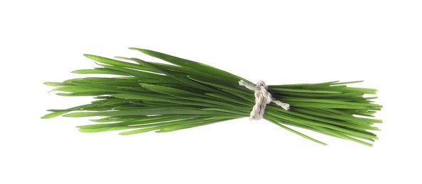 Photo of Sprouts of wheat grass isolated on white