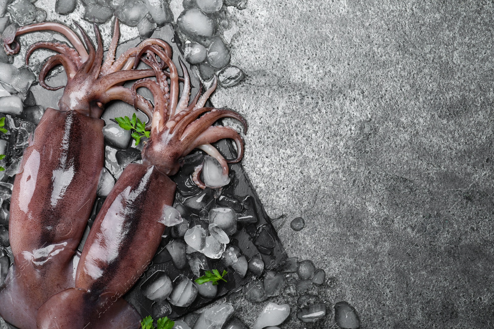 Photo of Fresh raw squids with ice and parsley on grey table, flat lay. Space for text