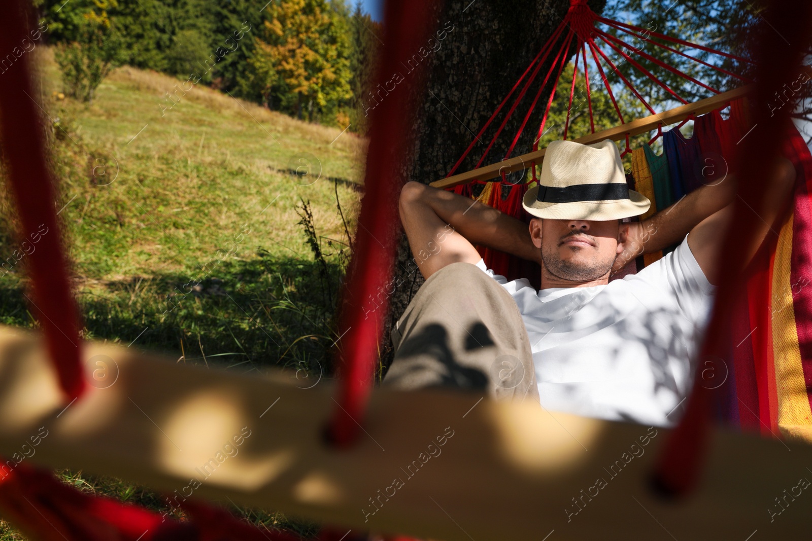 Photo of Man resting in hammock outdoors on sunny day