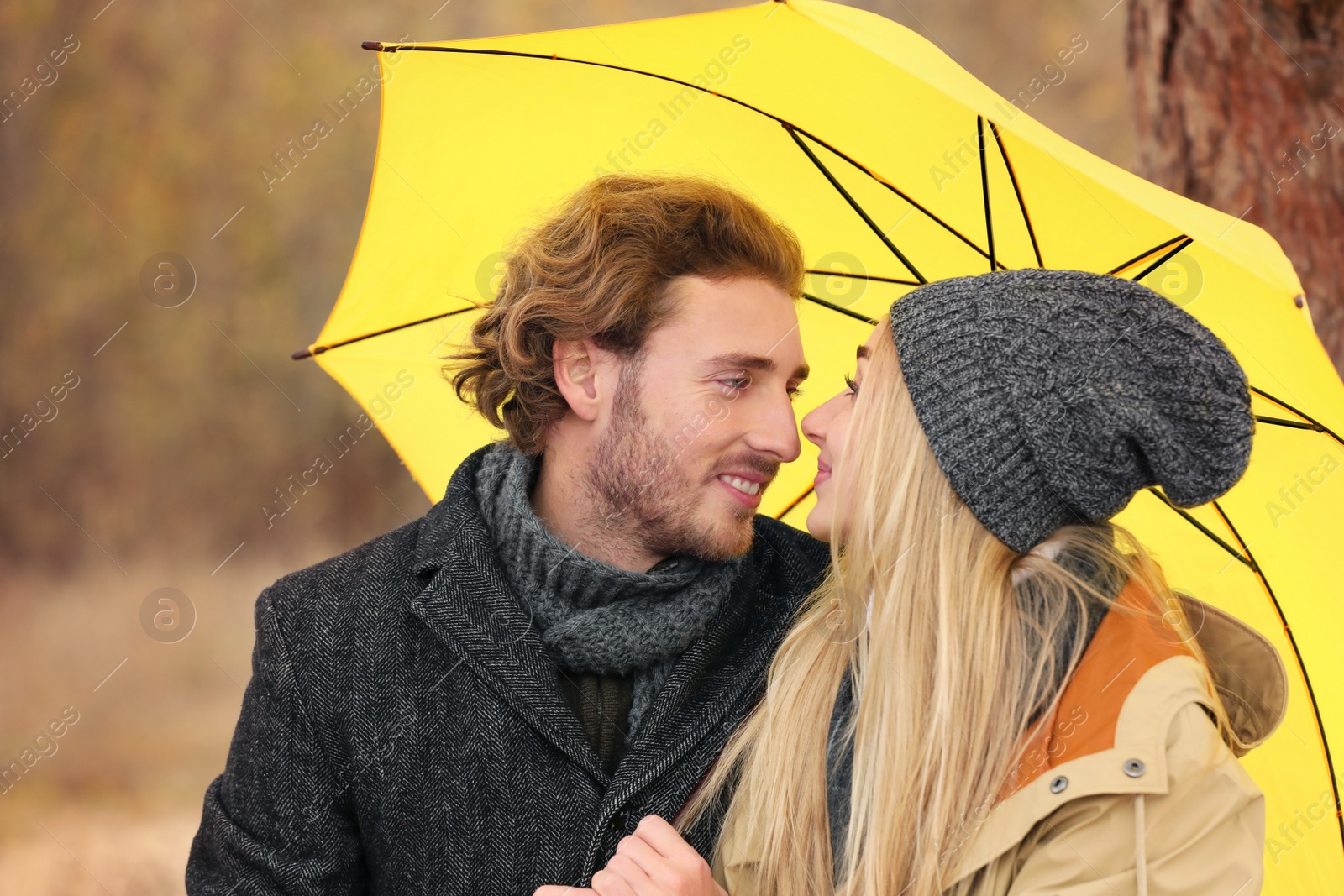 Photo of Young romantic couple with umbrella outdoors on autumn day