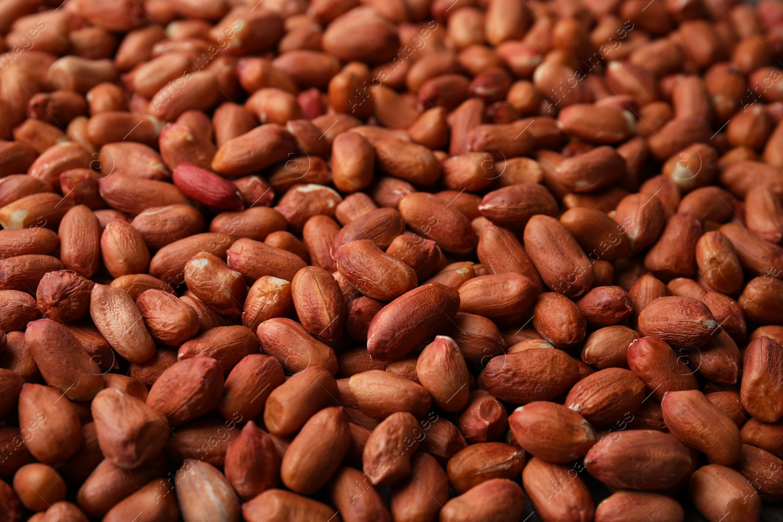 Photo of Many fresh unpeeled peanuts as background, closeup