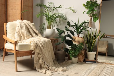 Photo of Living room interior with wooden furniture and different houseplants near white wall
