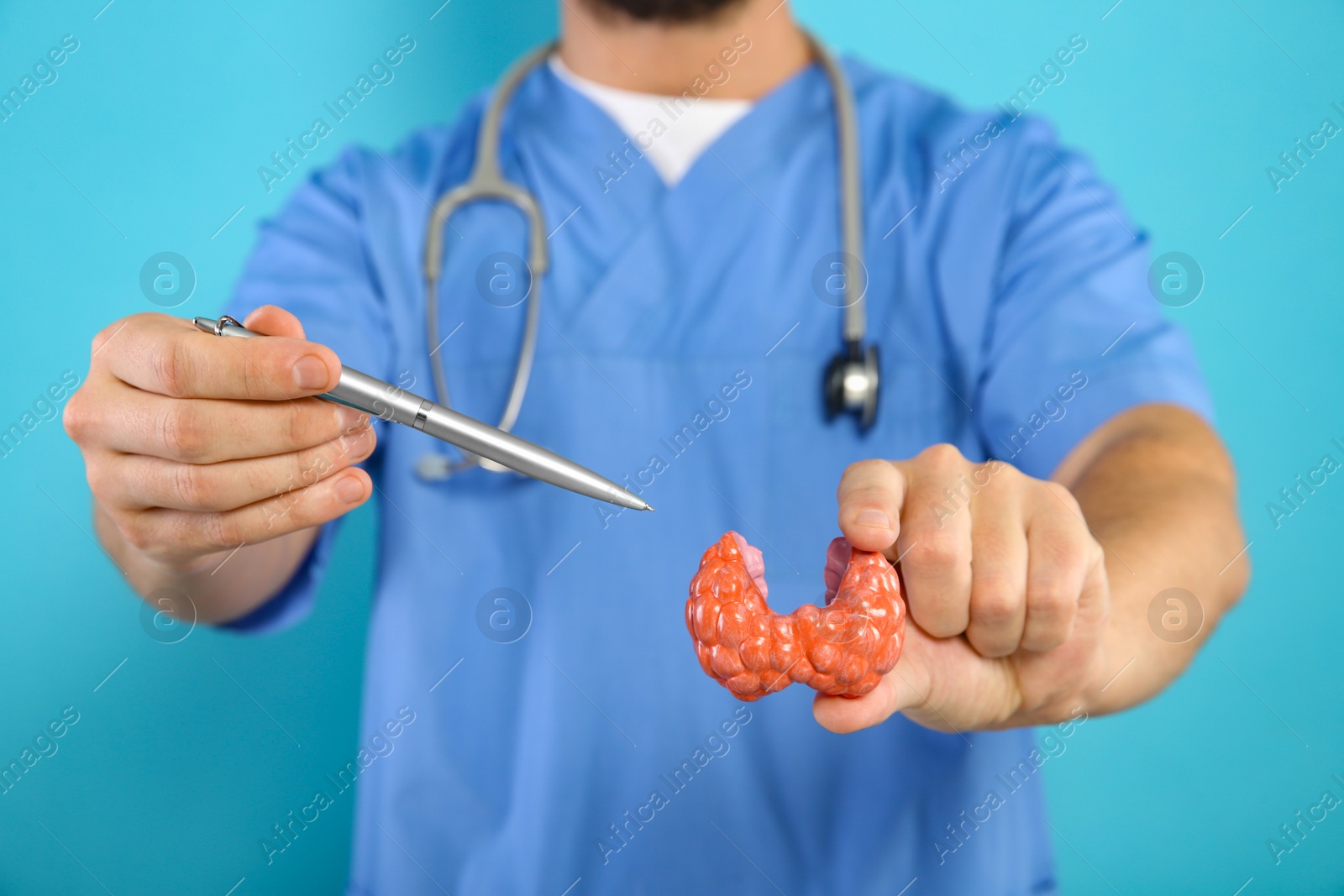 Photo of Endocrinologist showing thyroid gland model on light blue background, closeup