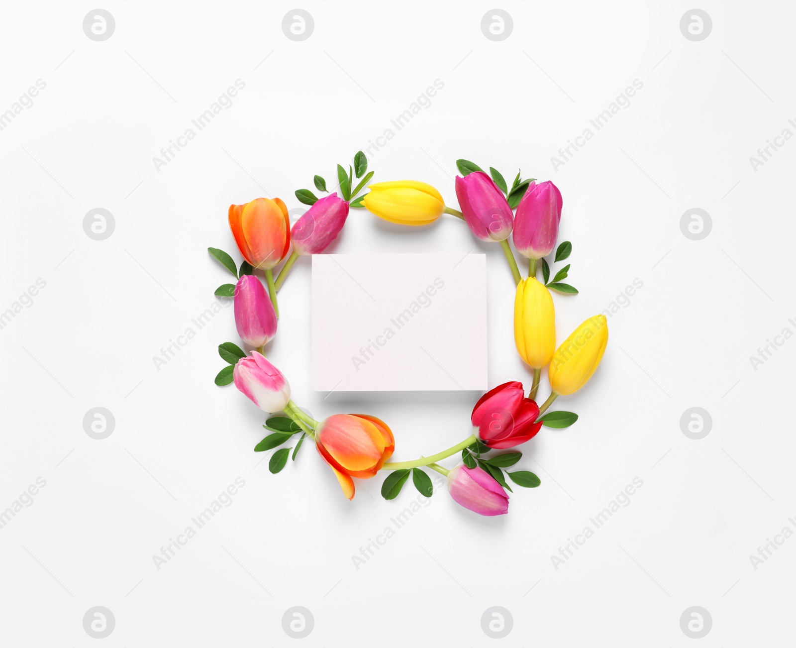 Photo of Beautiful composition with spring flowers and blank card on white background, top view. Space for text