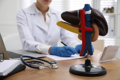 Photo of Model of liver on doctor's workplace in clinic. Space for text