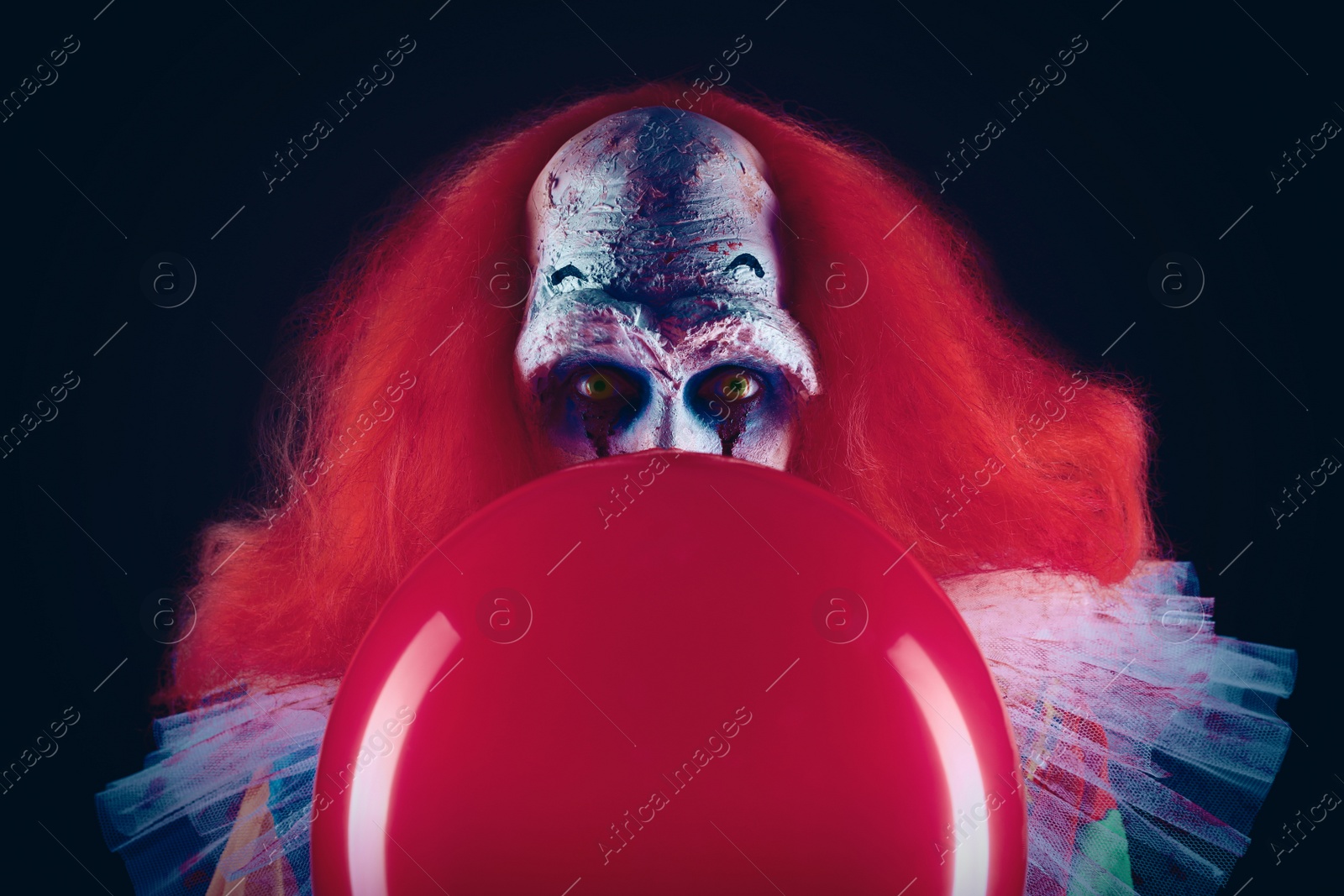 Photo of Terrifying clown with red air balloon on black background. Halloween party costume