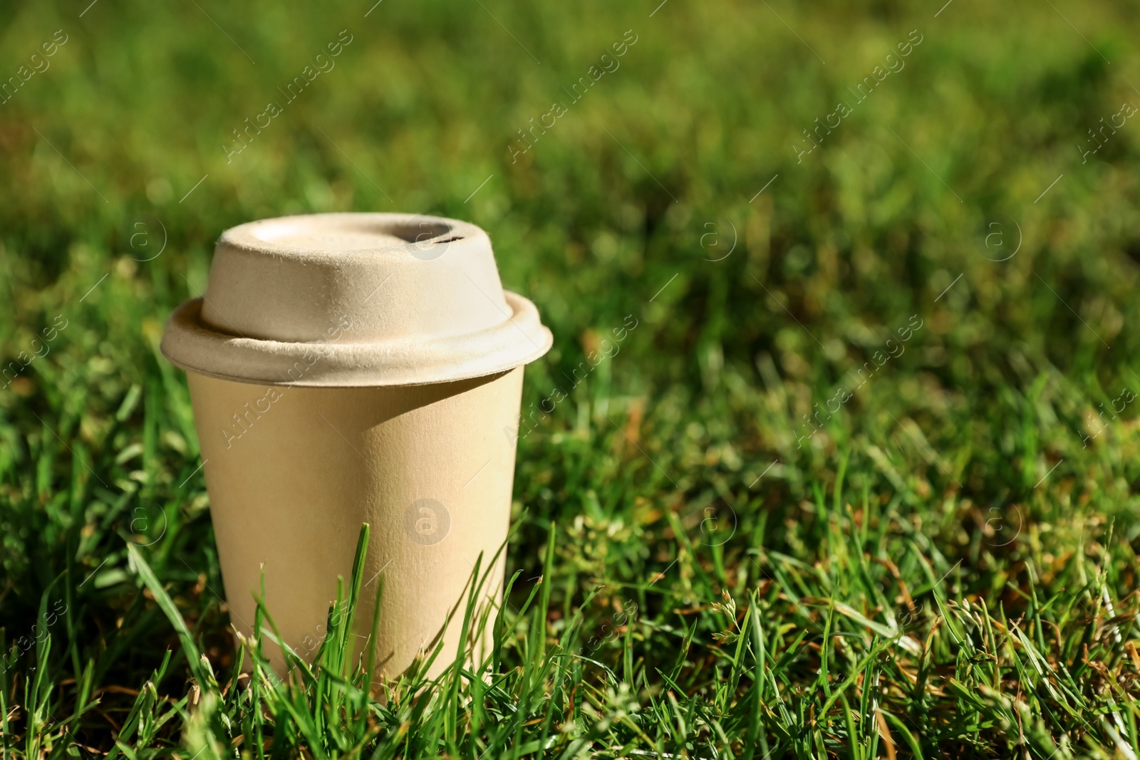 Photo of Cardboard takeaway coffee cup with lid on green grass outdoors, space for text