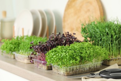 Photo of Different fresh microgreens and scissors on countertop in kitchen