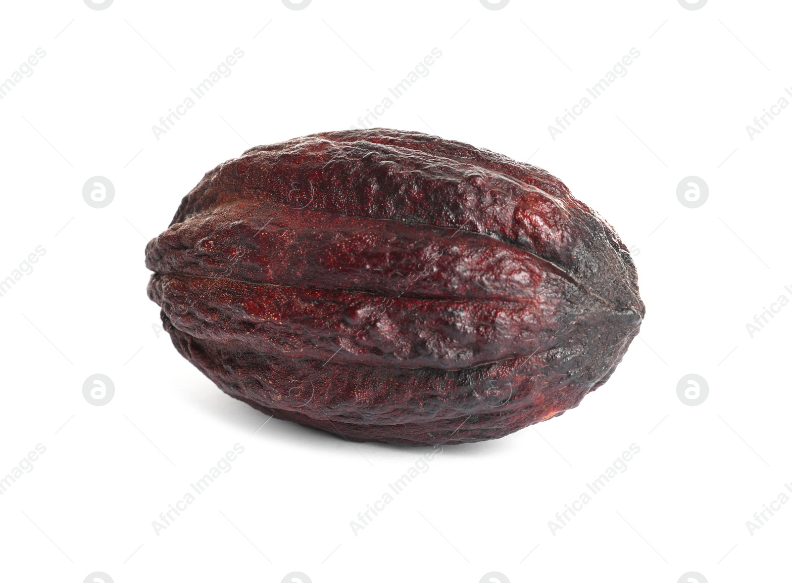 Photo of Whole tropical cocoa pod isolated on white