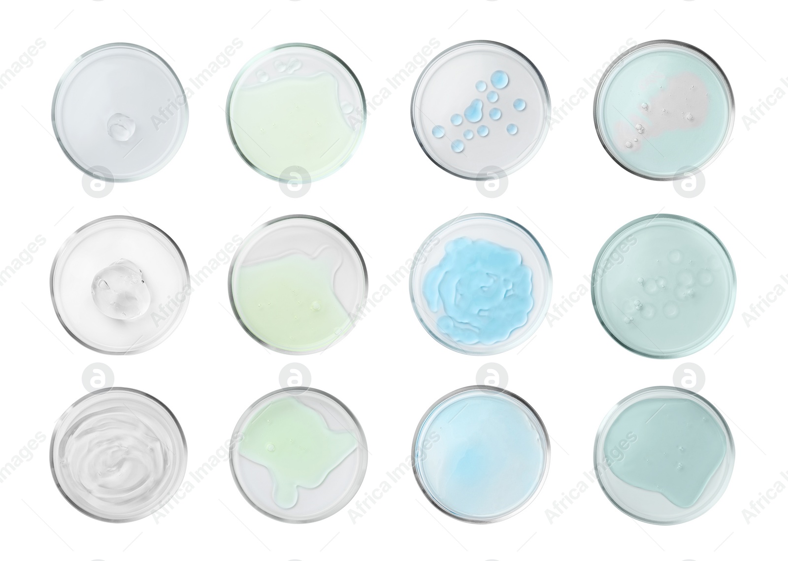 Image of Set of Petri dishes with liquid samples isolated on white, top view