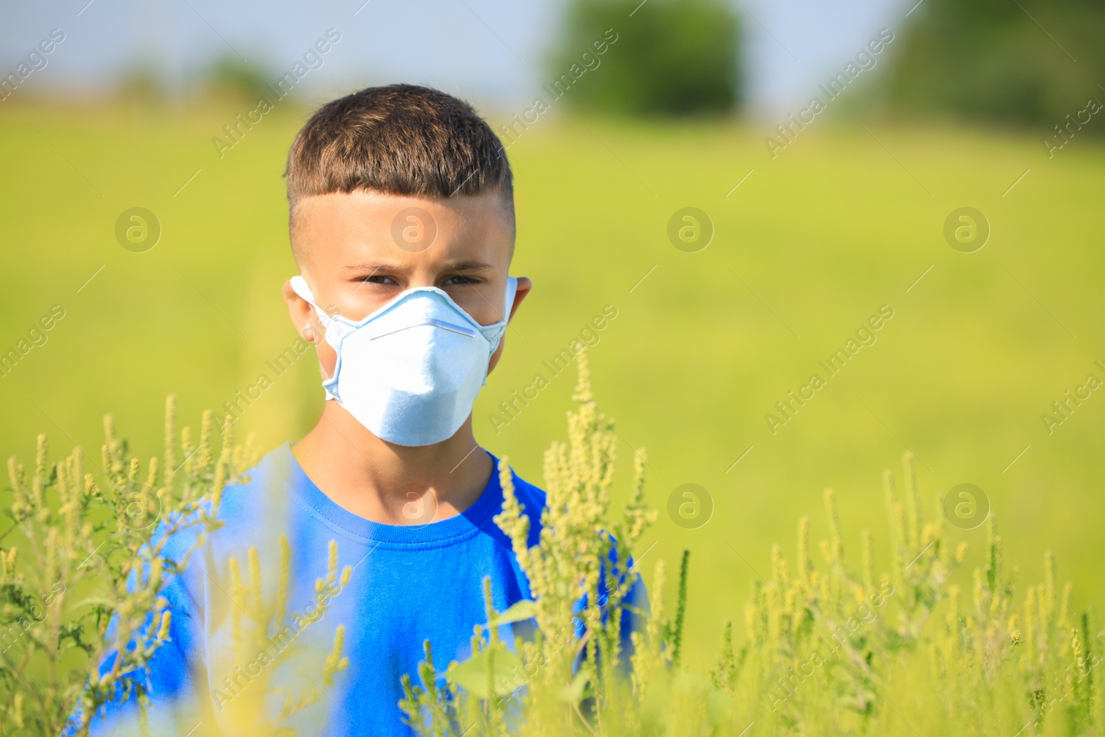 Photo of Little boy suffering from ragweed allergy outdoors