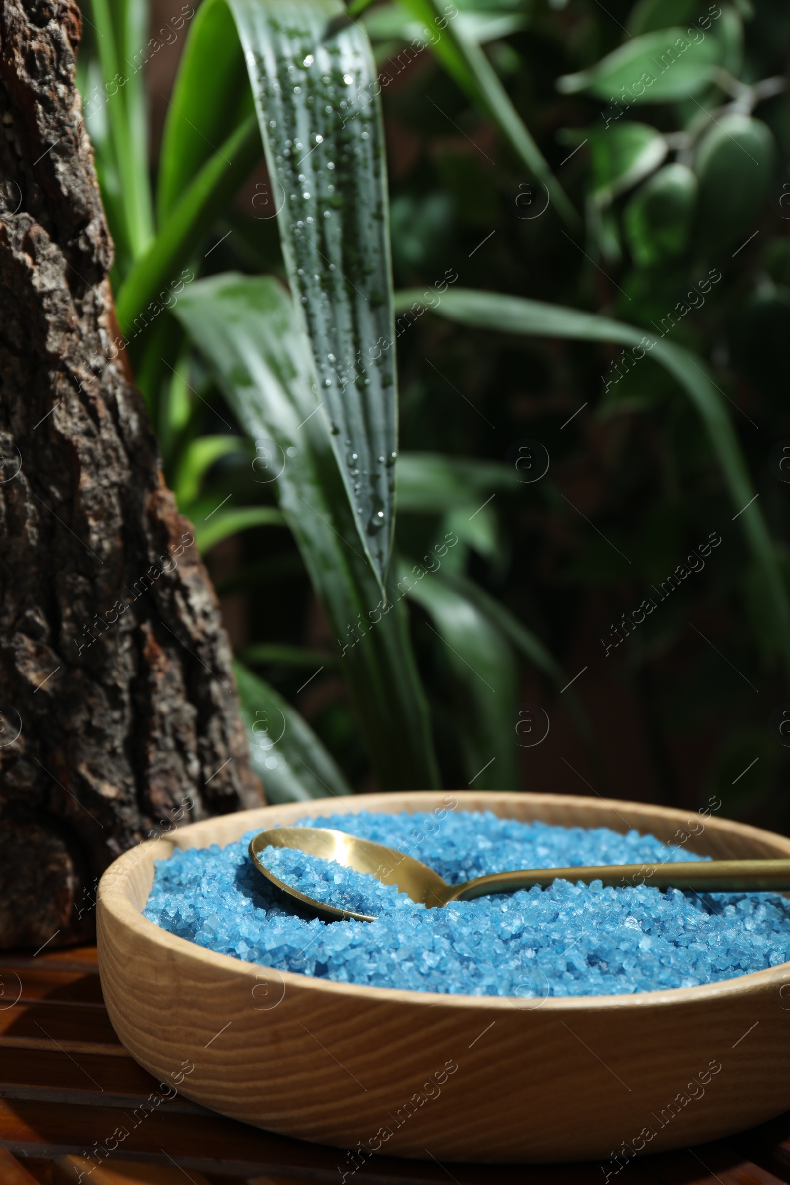 Photo of Bowl of blue sea salt with spoon on wooden table, closeup. Space for text
