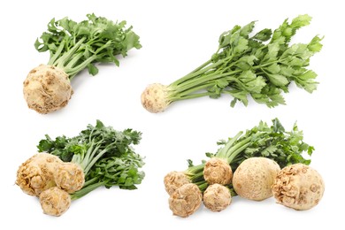 Image of Fresh celery roots isolated on white, collage design