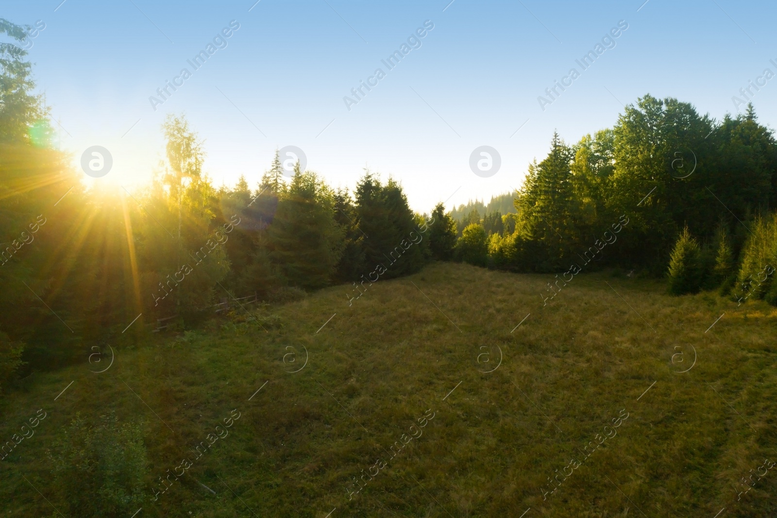 Image of Beautiful landscape with forest on sunny day