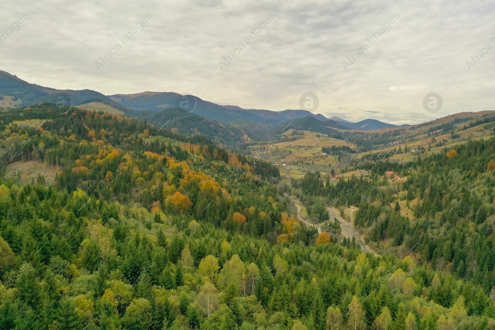 Photo of Aerial view of beautiful mountain forest on autumn day