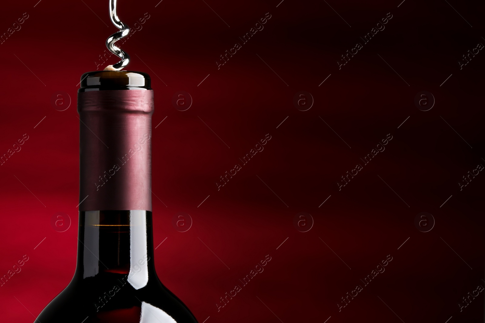 Photo of Opening bottle of wine with corkscrew on burgundy background. Space for text