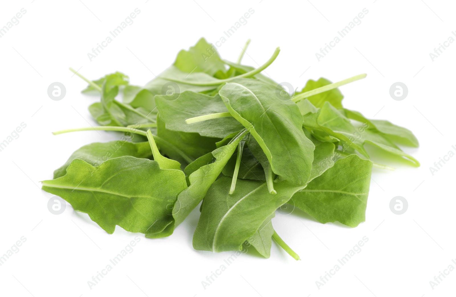 Photo of Fresh green arugula leaves on white background