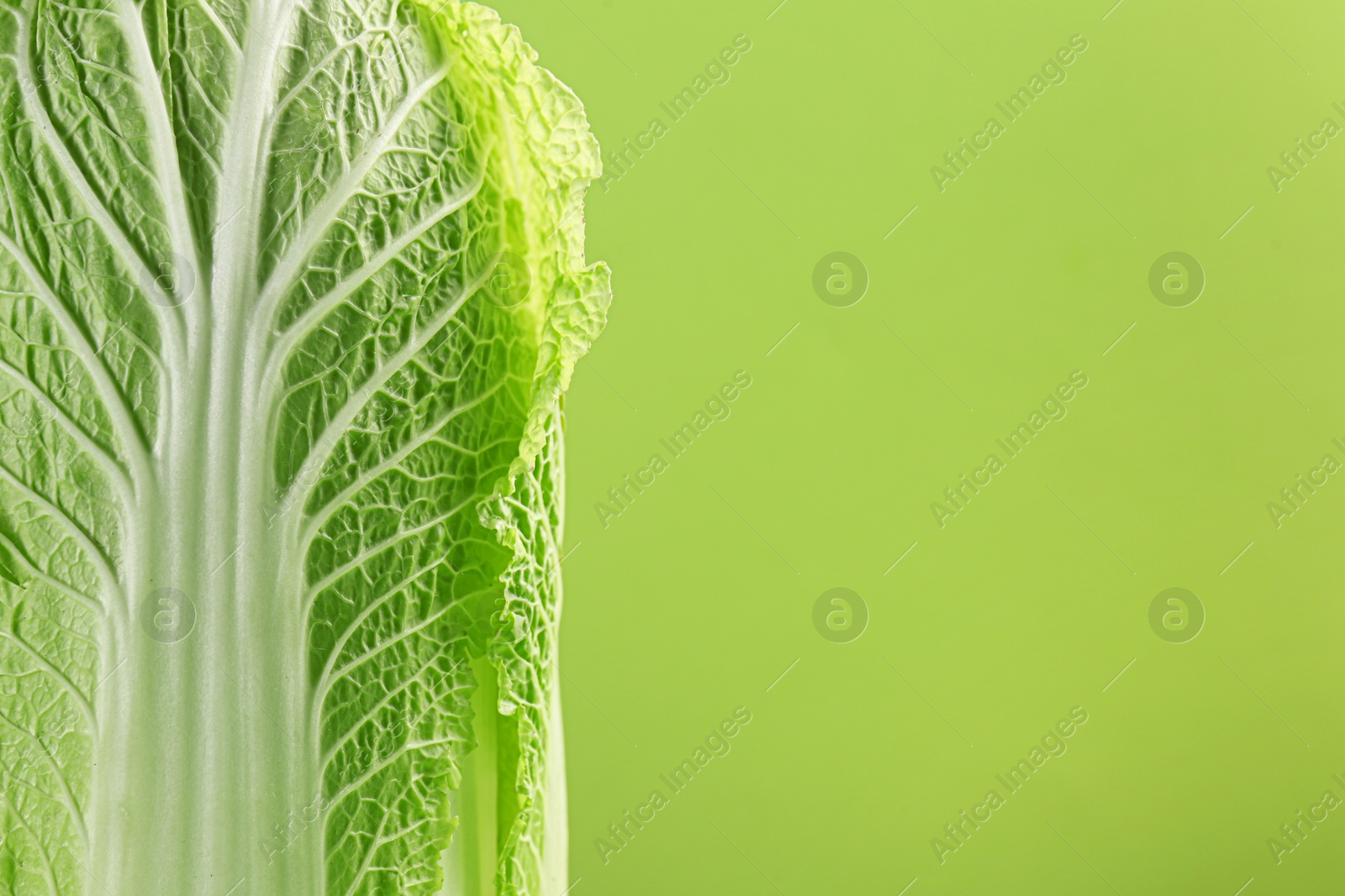 Photo of Fresh ripe Chinese cabbage on light green background, closeup. Space for text