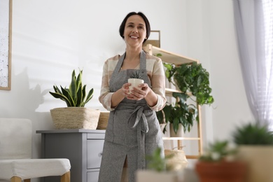 Photo of Mature woman with succulent plant at home. Engaging hobby