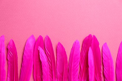 Bright beautiful feathers on pink background, flat lay. Space for text