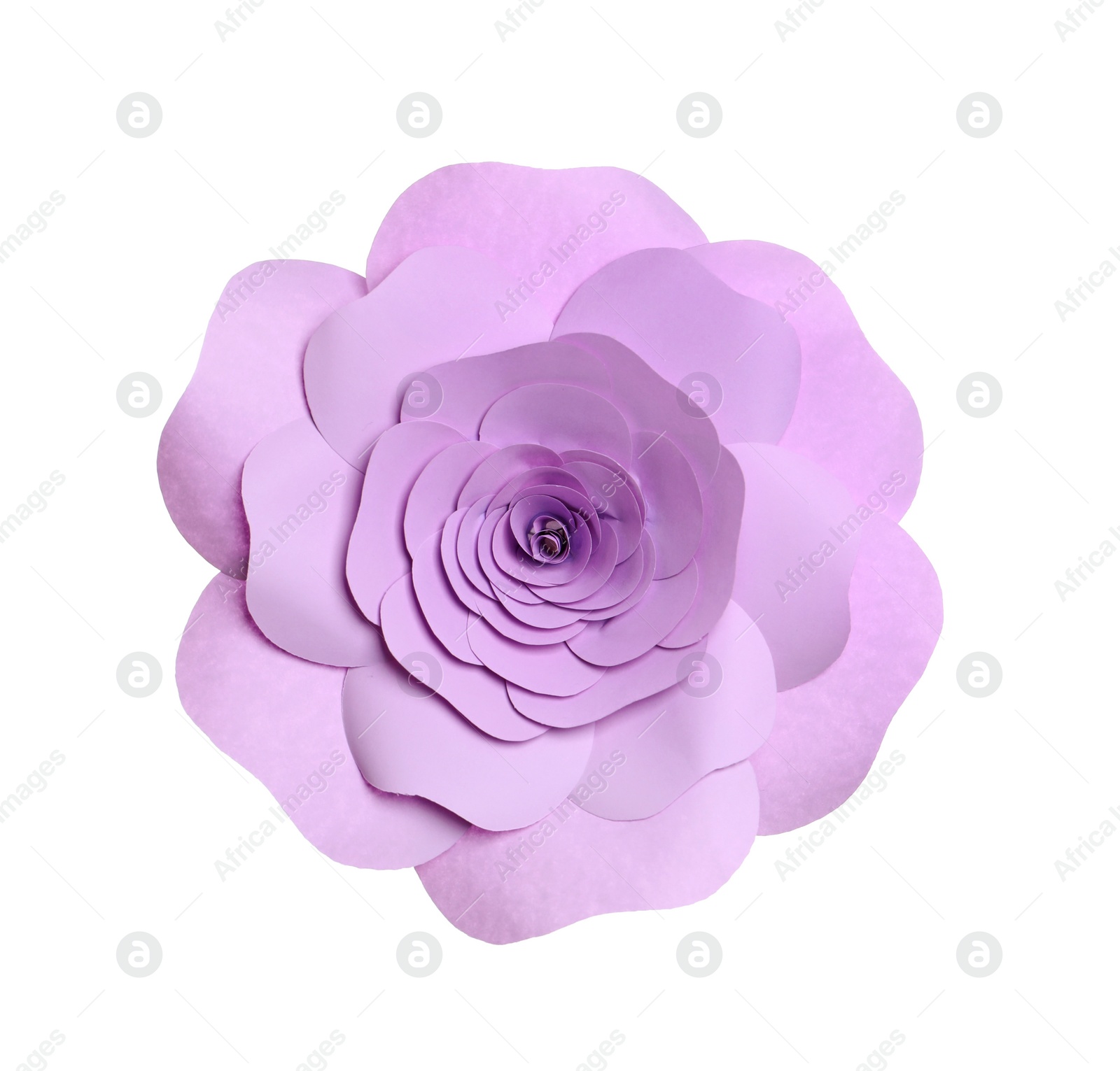 Photo of Beautiful violet flower made of paper isolated on white