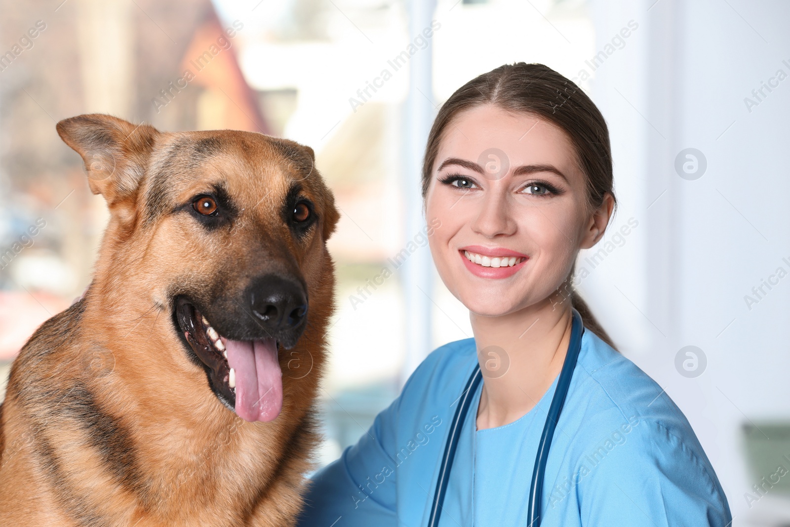 Photo of Veterinarian doc with dog in animal clinic