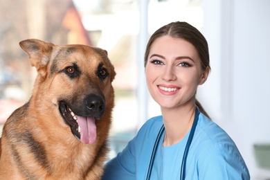 Veterinarian doc with dog in animal clinic