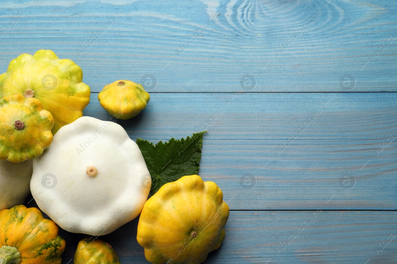 Photo of Fresh ripe pattypan squashes with leaf on light blue wooden table, flat lay. Space for text