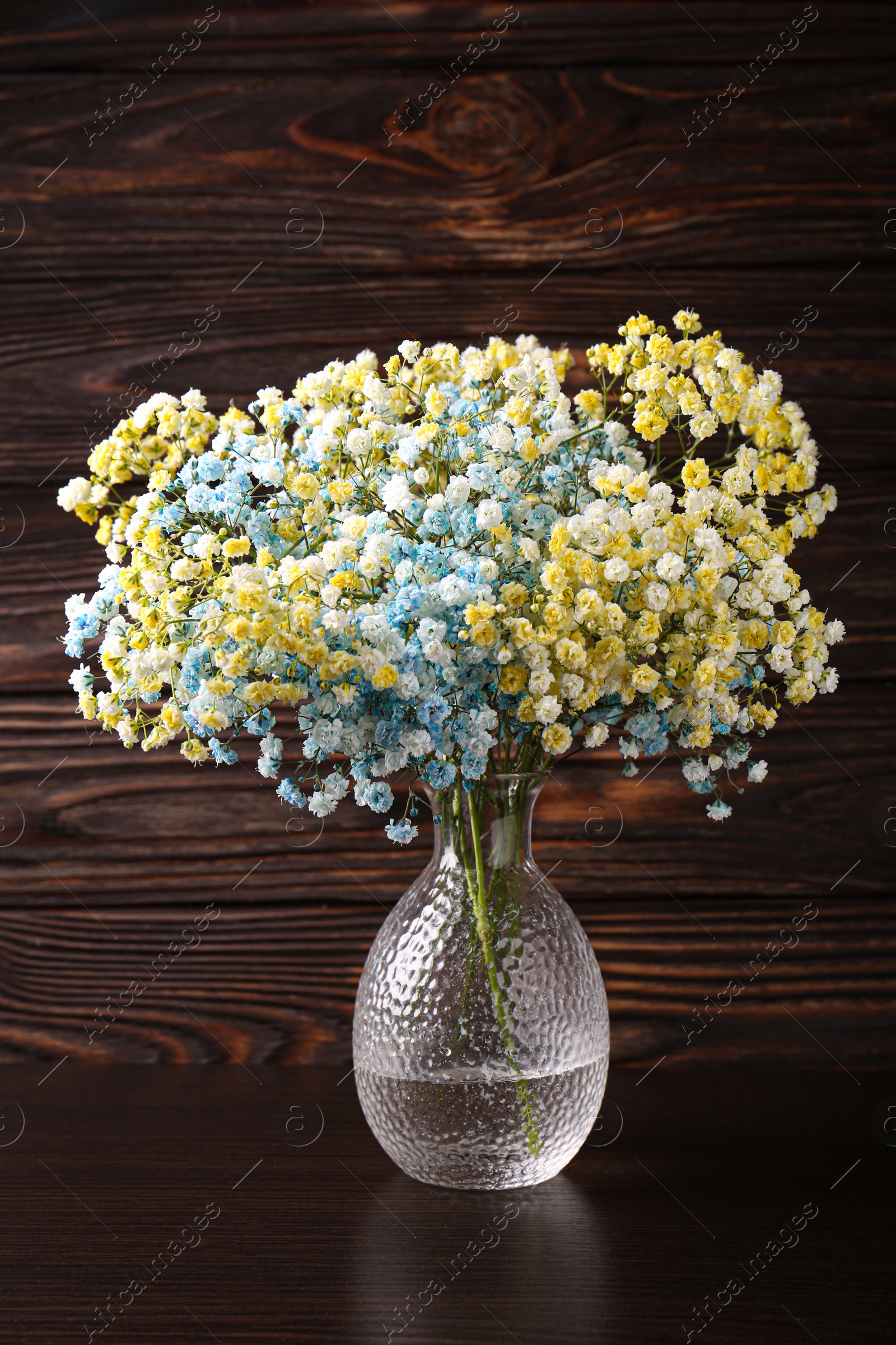 Photo of Beautiful dyed gypsophila flowers in glass vase on wooden table