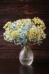 Beautiful dyed gypsophila flowers in glass vase on wooden table