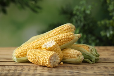Ripe raw corn cobs on wooden table against blurred background