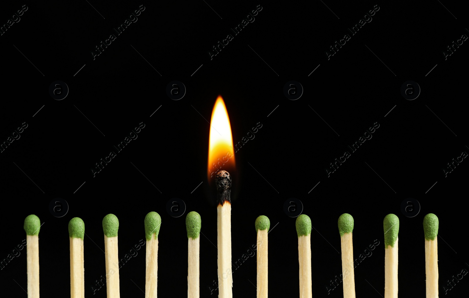 Photo of Burning match among unlit ones on black background, closeup